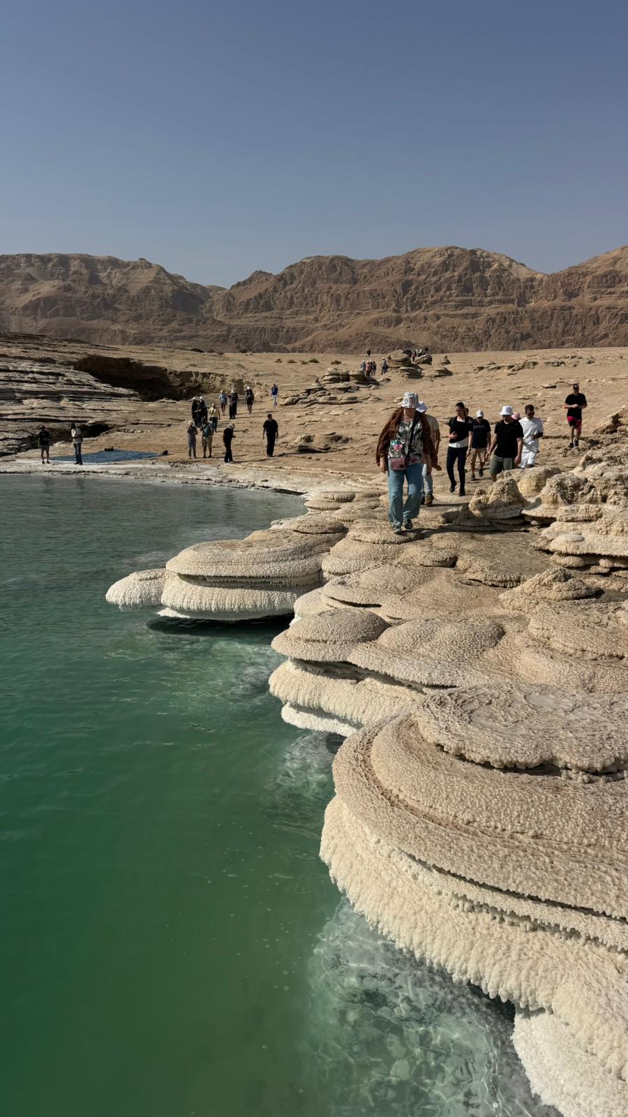 WhatsApp Image 2025-12-15 at