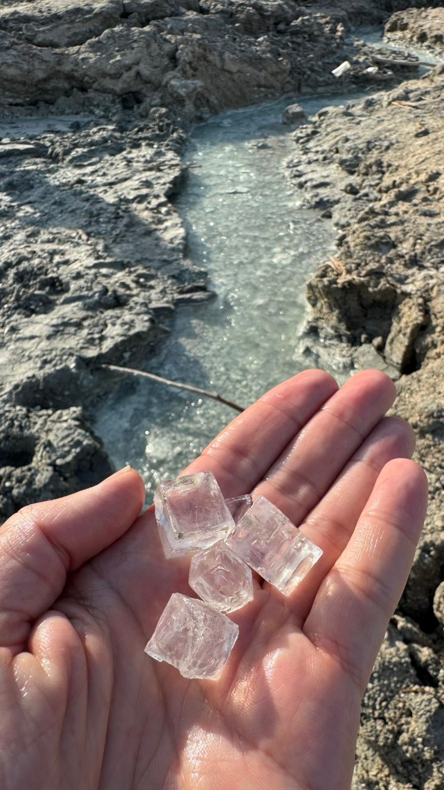 WhatsApp Image 2025-12-15 at 17.55.57